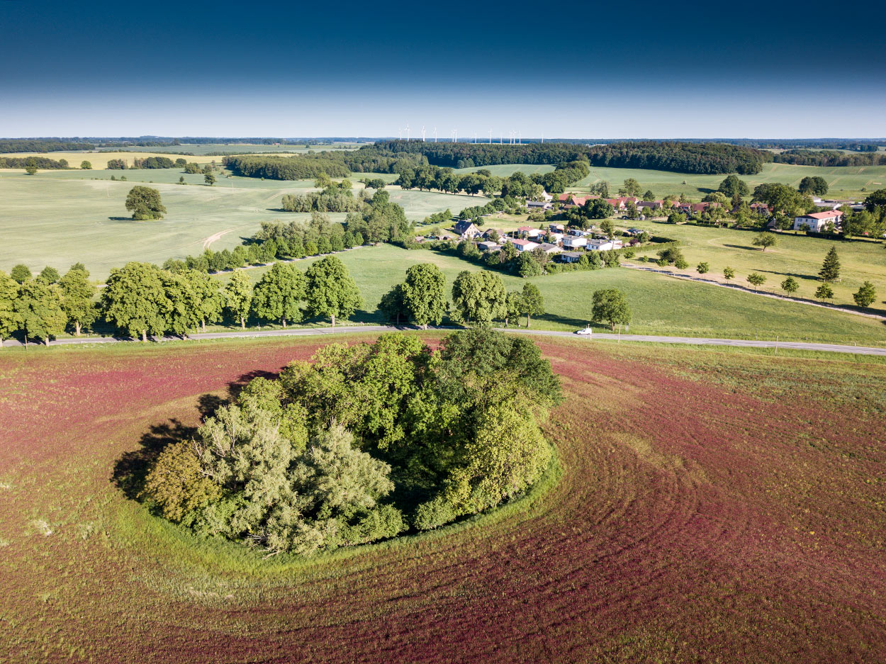 Land | Gut Zülow